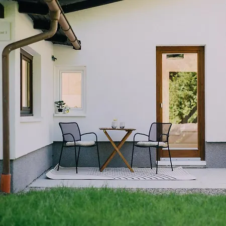 Bacherlhaus 公寓 特劳恩基兴
