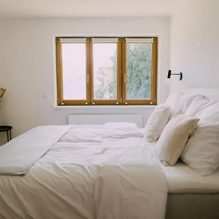 Bacherlhaus טראונקירכן