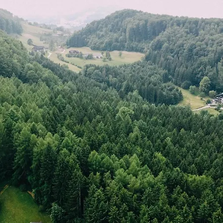 דירה Bacherlhaus