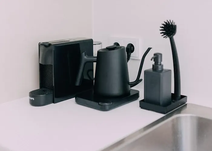 Bacherlhaus Daire Traunkirchen